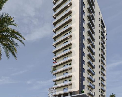 WhatsApp Image 2025-01-10 at 12.16.57 PM